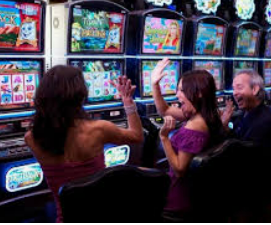 旺财28.ccpc29APP电脑免费版