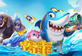 旺财28.ccpc29APP正式版